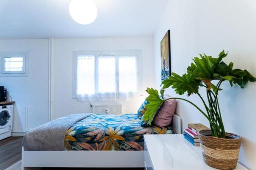 Apartament Le Coquet - Balcon - Proche Gare - Parking Bourg-en-Bresse Zewnętrze zdjęcie